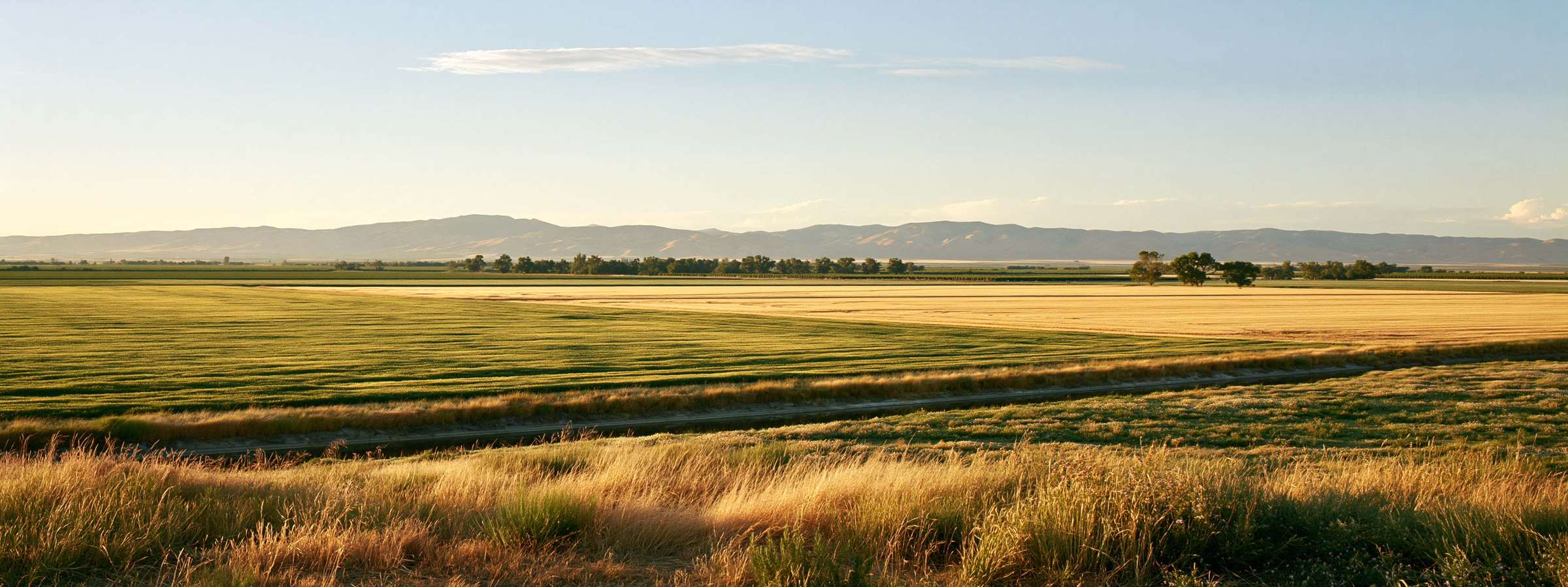 Flat farmland and open fields under a wide valley sky at golden hour