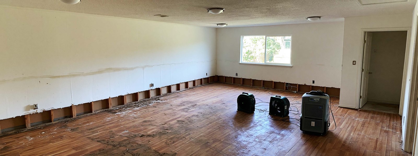 A room part way through drying out, the lower wall cut back to the studs with air movers running on the floor