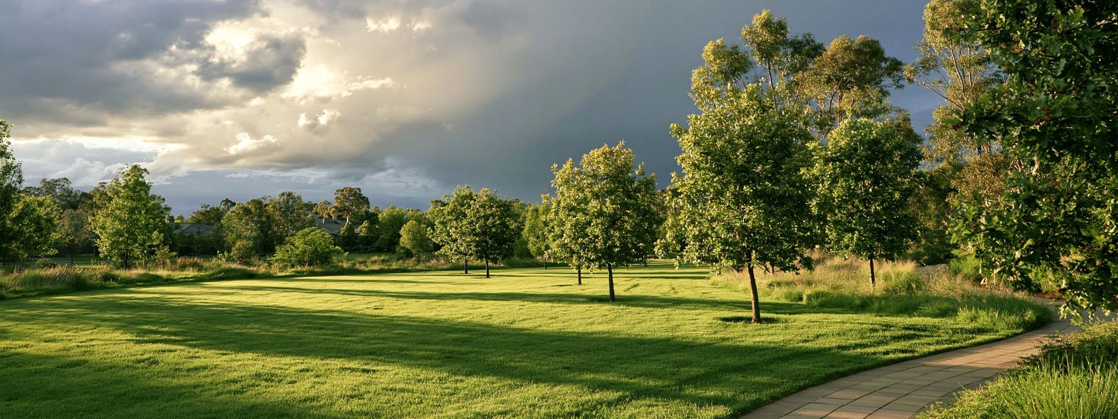 A wide mown greenbelt of young oaks between quiet streets, storm light breaking over the trees
