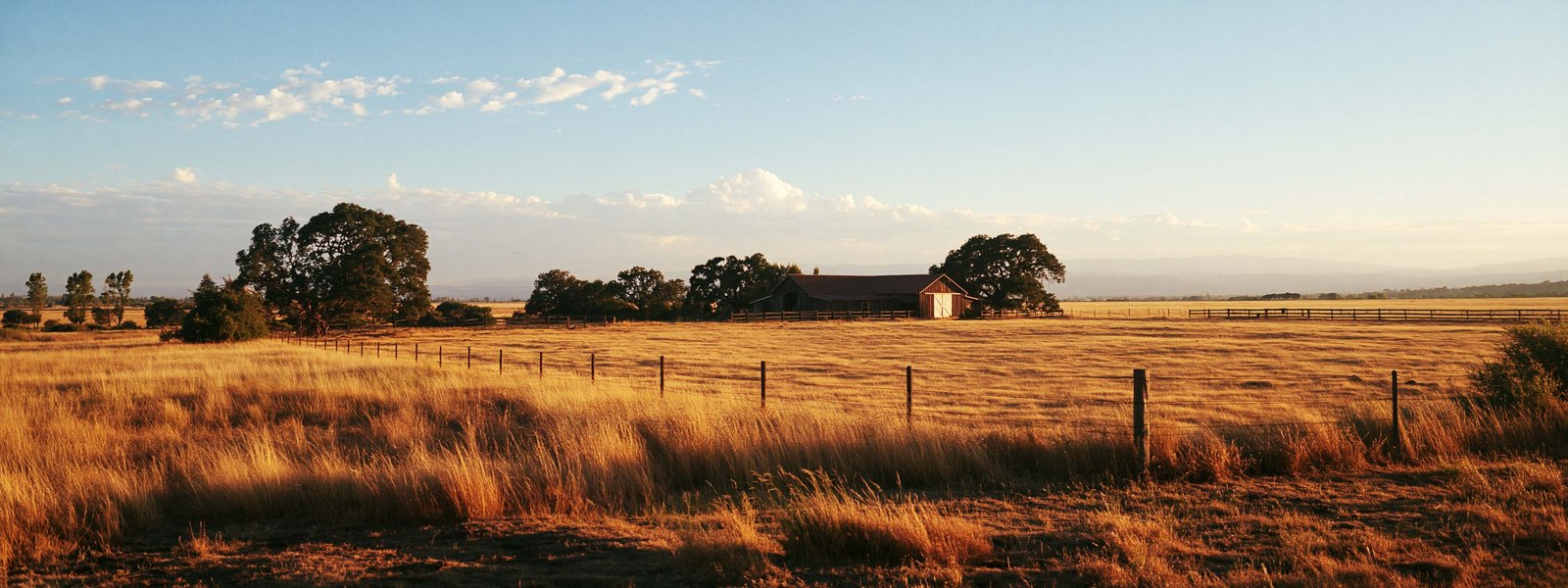 Open pasture and dry grass behind a post fence, a horse barn set back among the oaks