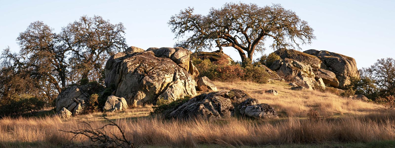 Weathered granite boulders standing out of dry grass on a rise, oaks around them in low sun